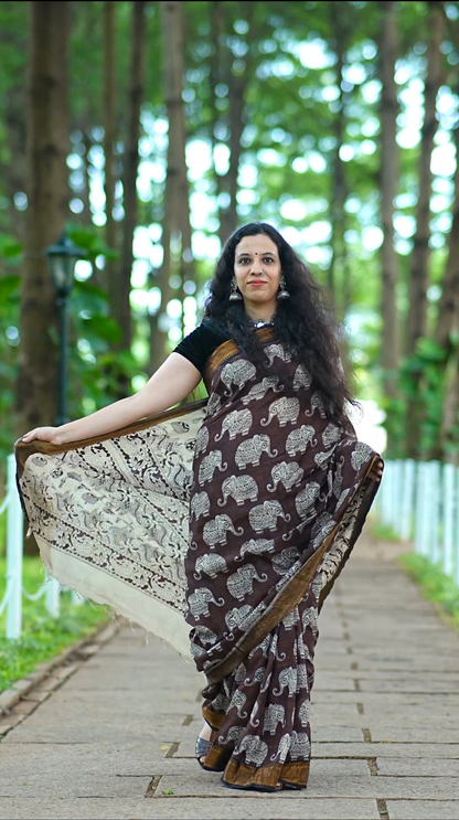 Iraavath  | Nizam Border | Kalamkaari Silk Saree