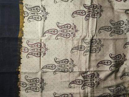 Aamra | Nellore Silk | Kalamkaari Saree